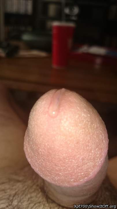 Adult image from Drippythemushroom