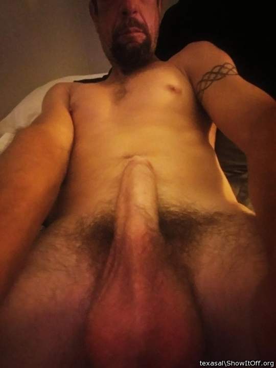 Adult image from texasal