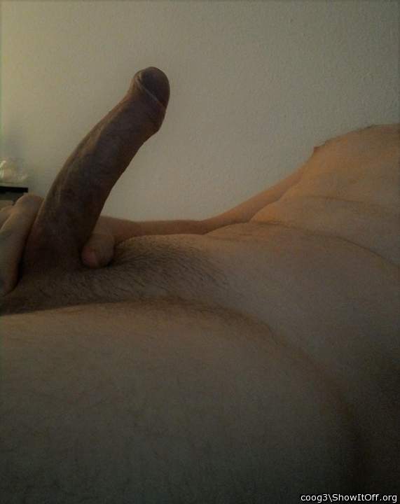 Adult image from coog3