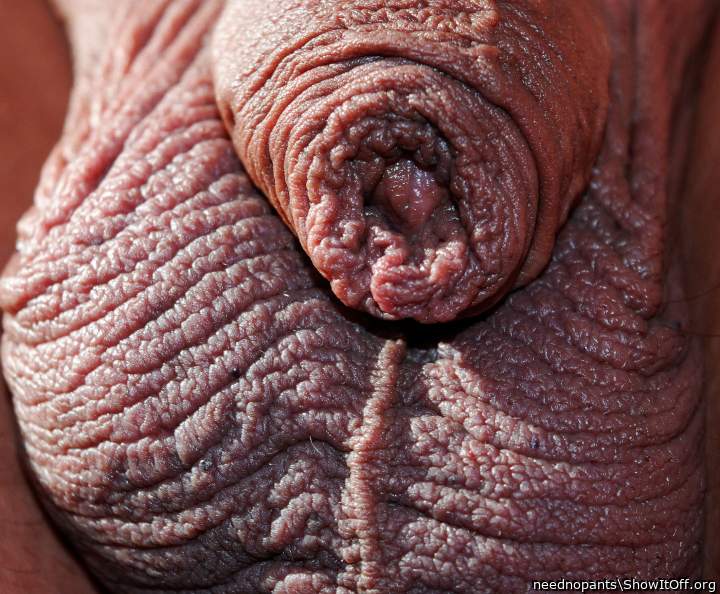 Adult image from neednopants