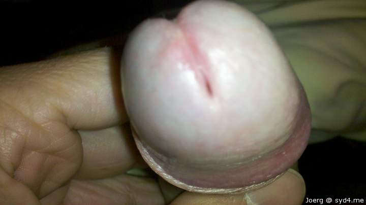mmm....ein Leckerbissen f�r Kenner und Liebhaber von Eicheln