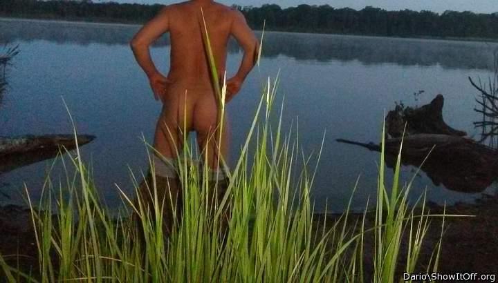 Adult image from Dario