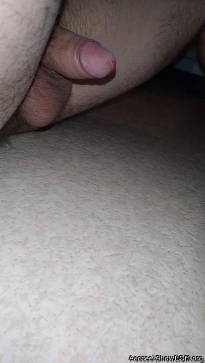 Adult image from Aaccee
