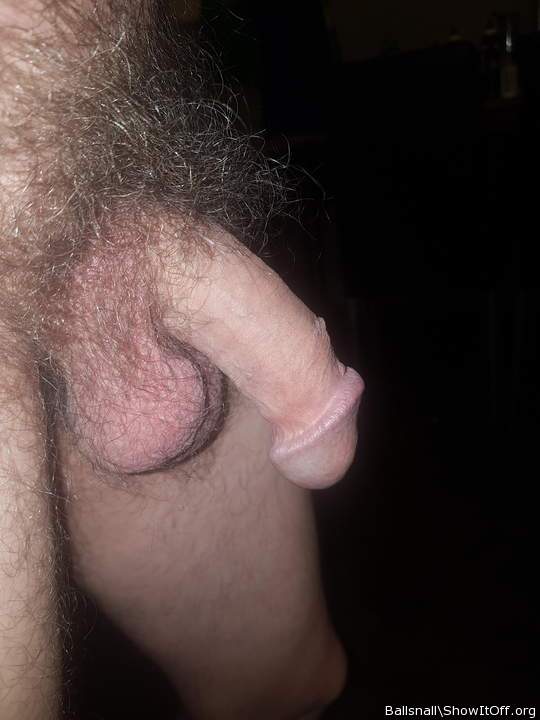 Adult image from ballsnall