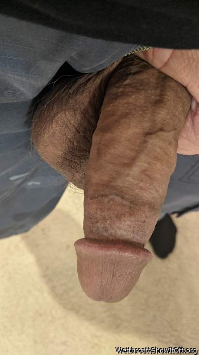 Adult image from Wetthroat