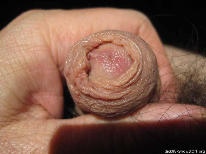 Adult image from Dick88