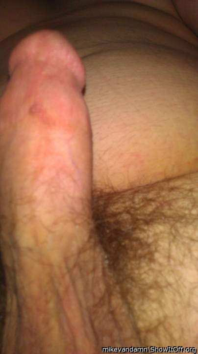 Adult image from mikevandamn
