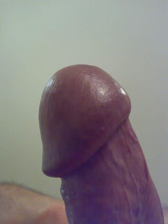 Adult image from roccotano