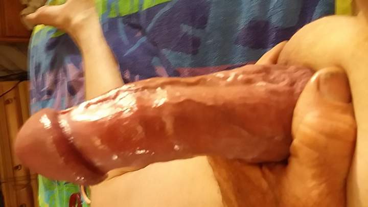 Adult image from fish4free