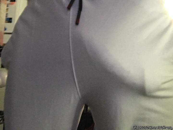 Adult image from Pibo2020