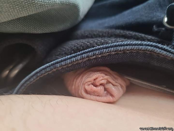 Adult image from covas