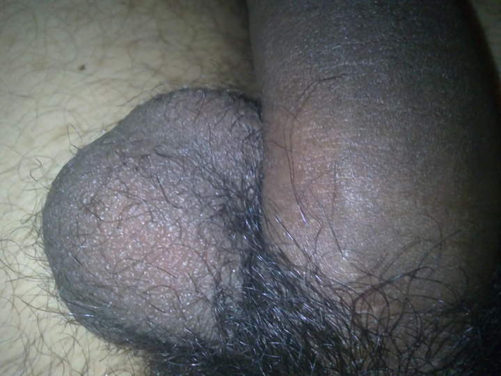 Adult image from nicedices