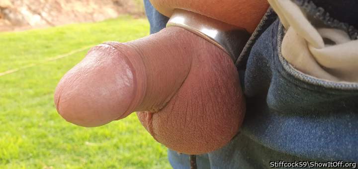 Adult image from Stiffcock59