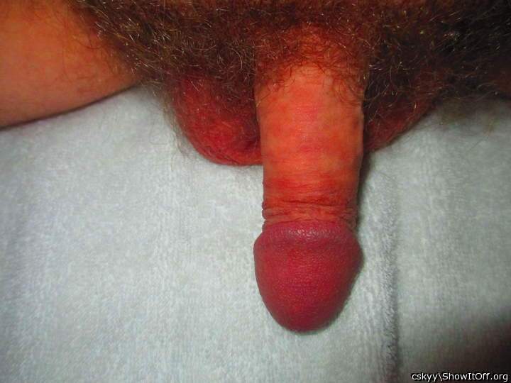Adult image from cskyy