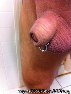 Adult image from coyote7666