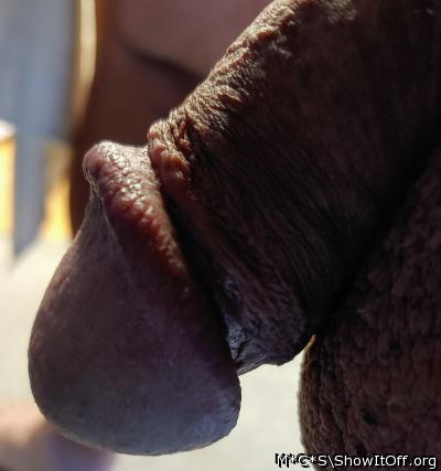 Adult image from M*C*S