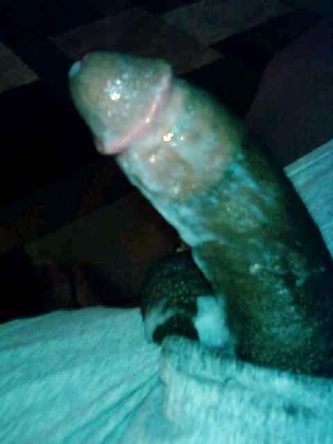 Adult image from Assman80