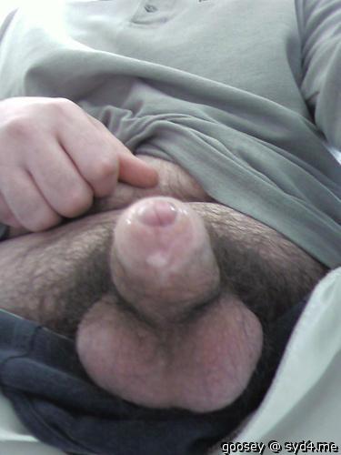Adult image from Goosey