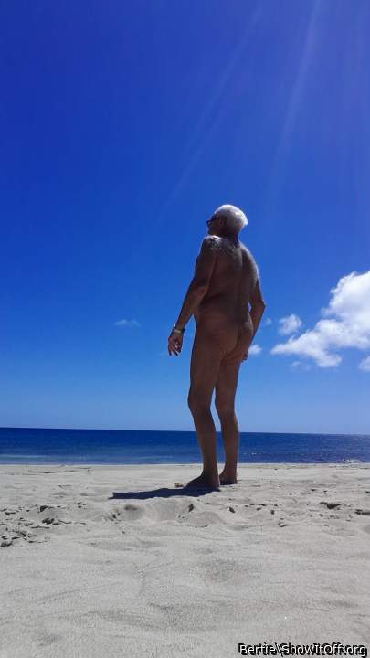Adult image from Bertie