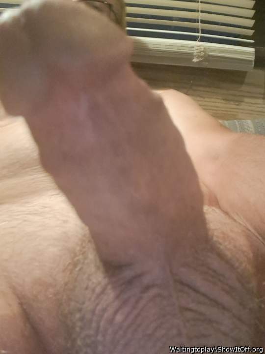 Adult image from Waitingtoplay