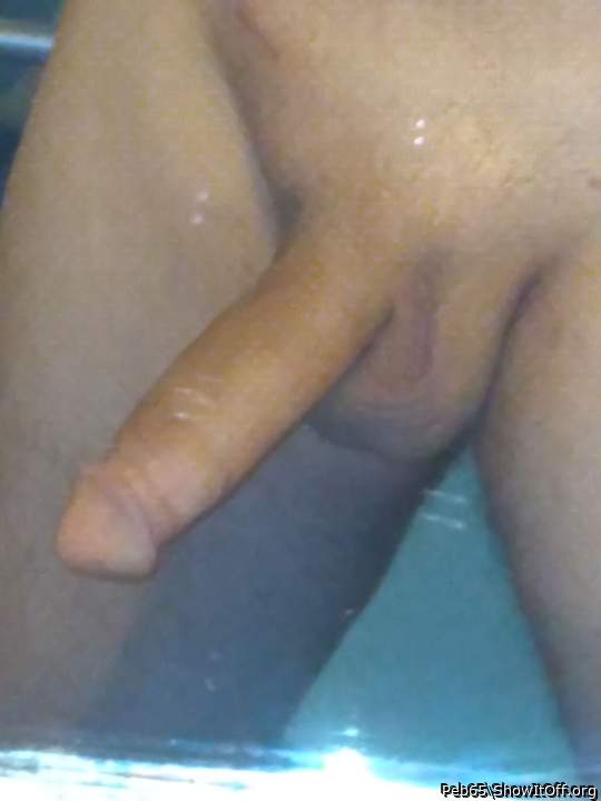 Adult image from Peb65