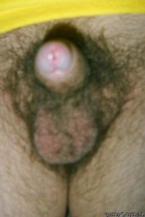 Adult image from Goosey