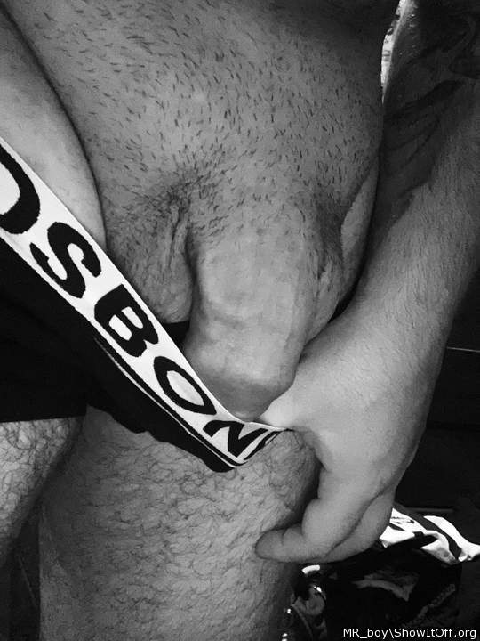 Adult image from MR_boy