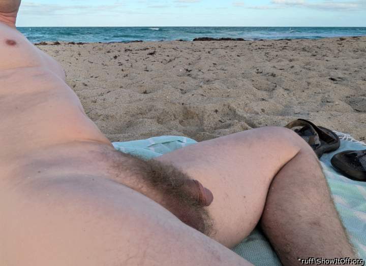 Adult image from *ruff