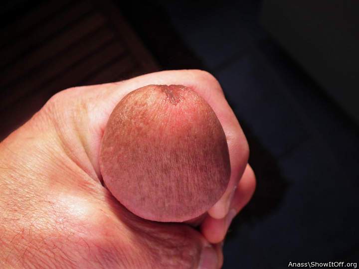 Adult image from Anass