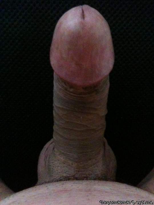 Adult image from ChinpoMukimuki