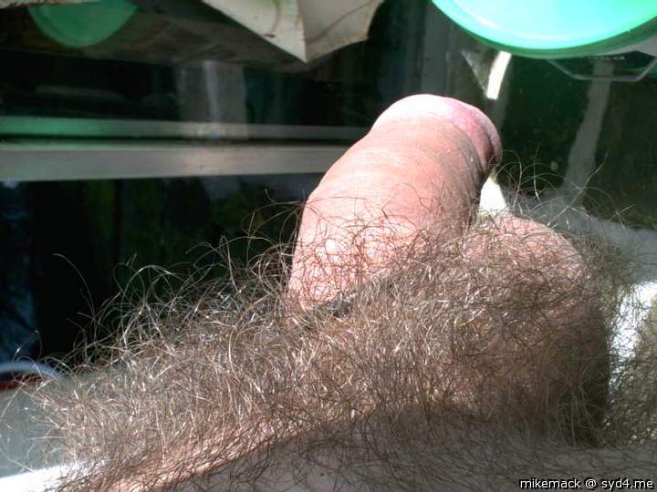 Adult image from mikemack