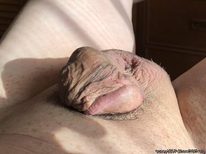 Adult image from eusay1587