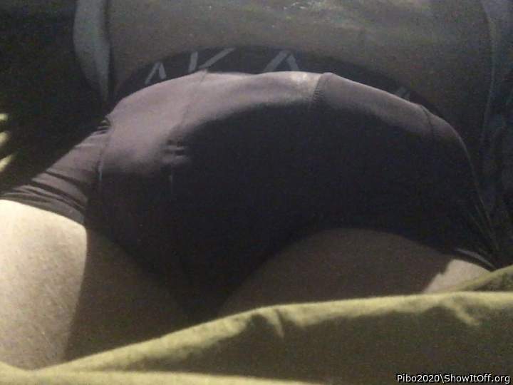 Adult image from Pibo2020