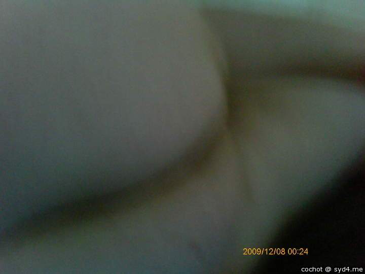 Adult image from cochot