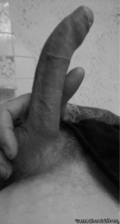 Adult image from Gazza