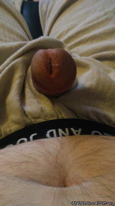 Adult image from Alf4269