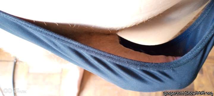 Adult image from gingerzim