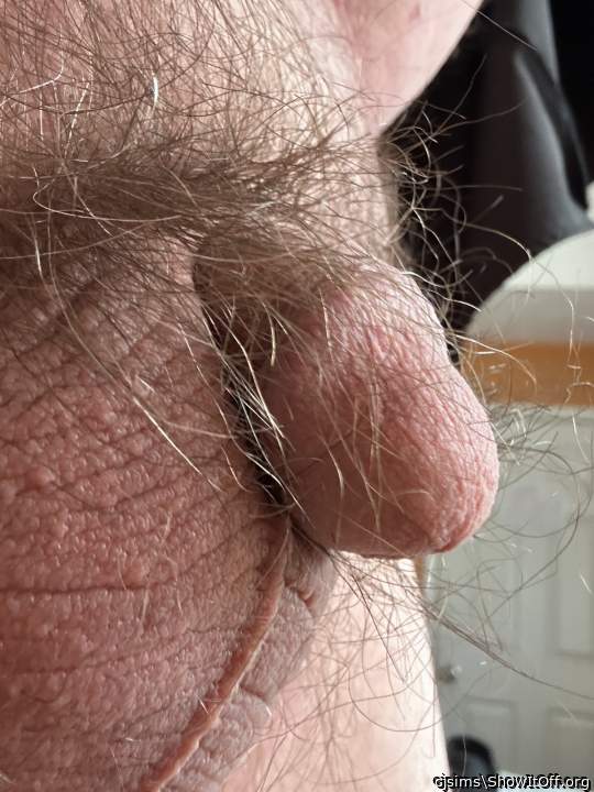 Adult image from cjsims