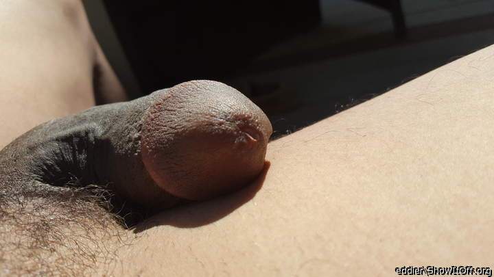 Adult image from eddier