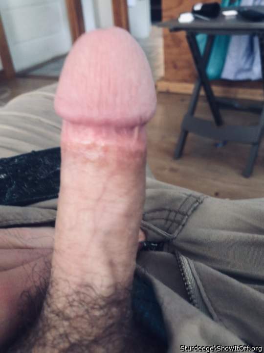 Adult image from Sturdeege