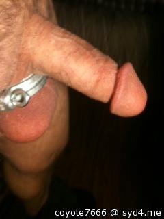 Adult image from coyote7666