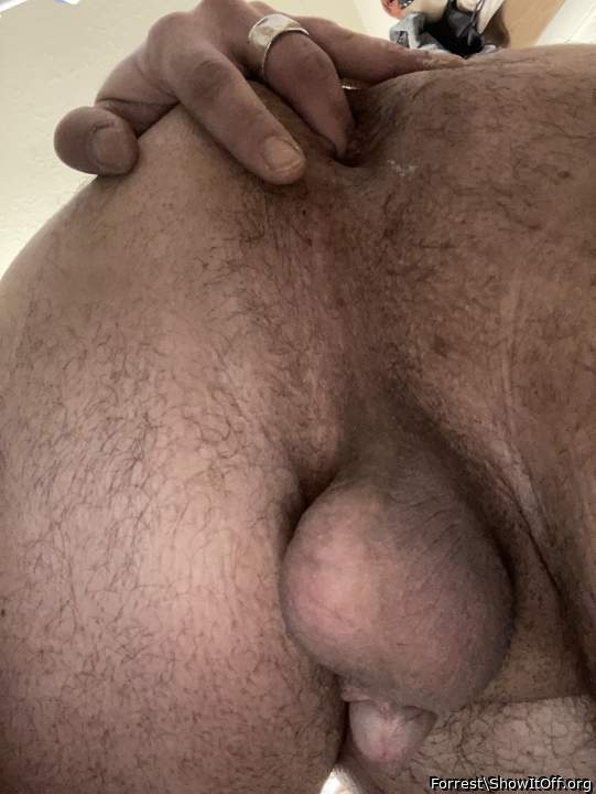 Adult image from Forrest