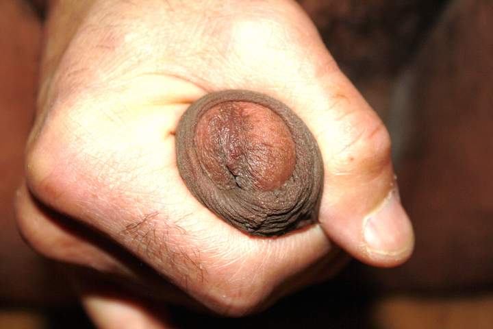 Adult image from Anass