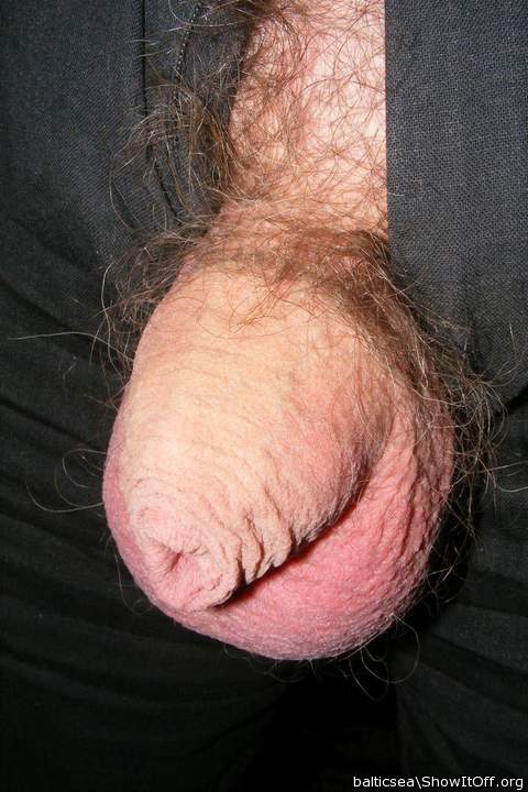 Adult image from balticsea