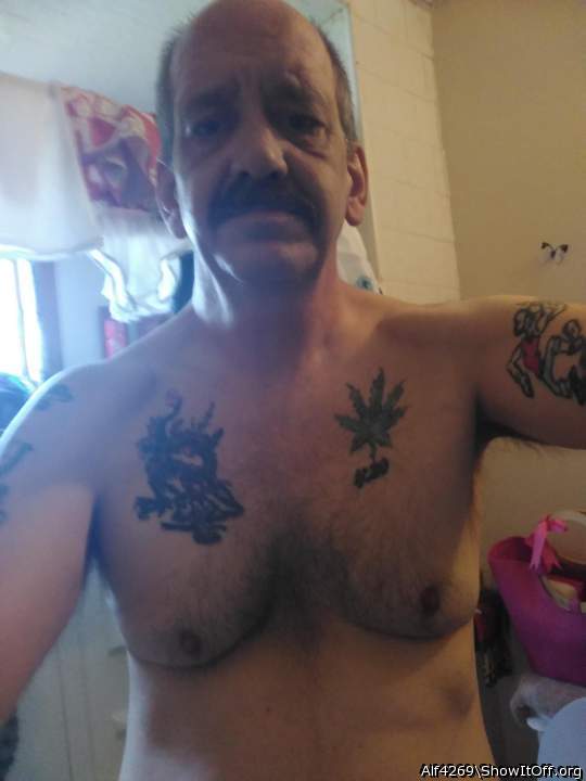 Adult image from Alf4269