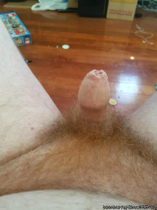 Adult image from Johnoharvey