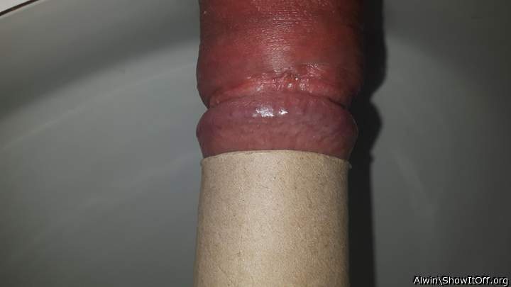 Adult image from Alwin