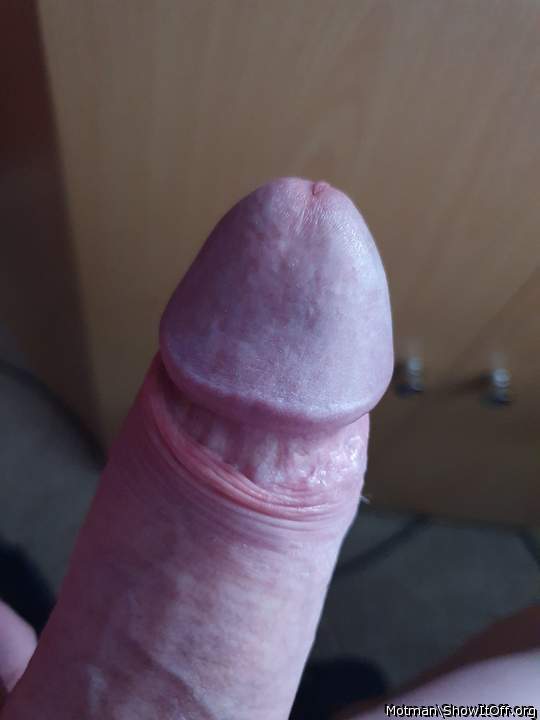 Adult image from Motman