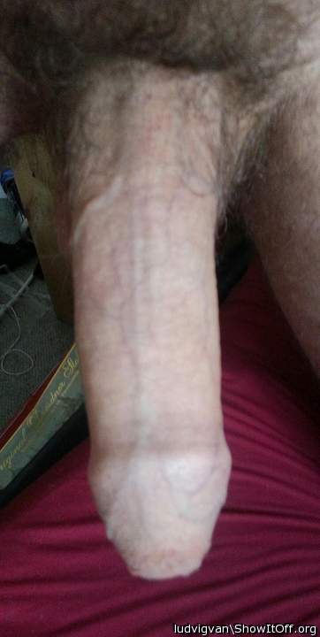 Adult image from ludvigvan
