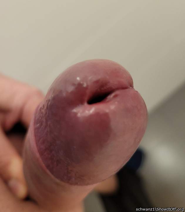 Adult image from schwanz1